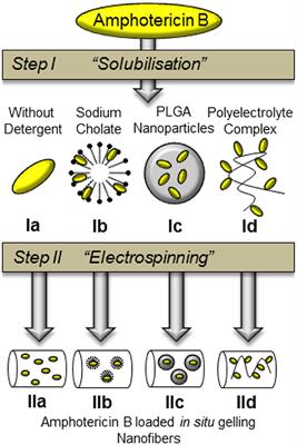 In situ Gelling Amphotericin B Nanofibers: A New Option for the Treatment of Keratomycosis